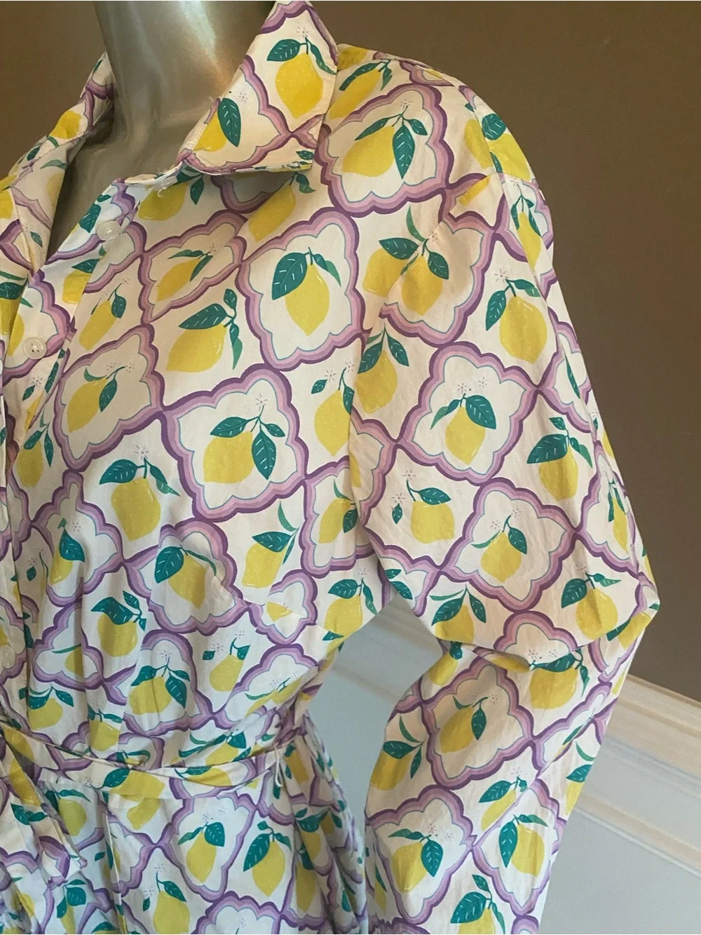 Boden Amy Cotton Shirt Dress Size 16-18L
Lemon Grove/Lacender - Picture 4 of 7